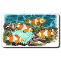 Clownfish Mouse Pad