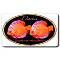 Discus Mouse Pad