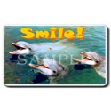 Dolphin Smile Mouse Pad