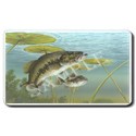 Largemouth Bass Mouse Pad