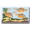 Pumpkinseed Fish Mouse Pad