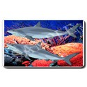 Sharks Mouse Pad