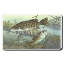 Smallmouth Bass Mouse Pad