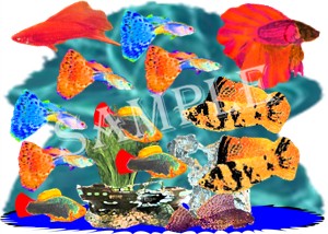 Tropical Tank fish shirts, clocks and mousepads at Aquarium Addict.com.